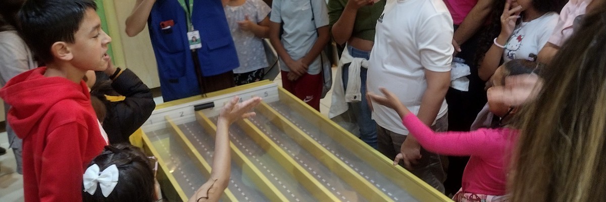 Passeio Museu Insetos